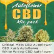 Autoflower CBD Marijuana Seed Variety Pack