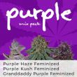 Purple Mix Pack Seed Variety Pack