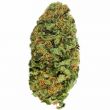 Northern Lights feminized marijuana bud