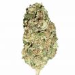Sour Diesel feminized marijuana bud