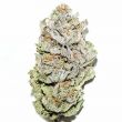 Super Silver Haze marijuana bud