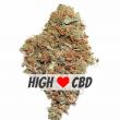 White Widow high CBD feminized marijuana bud