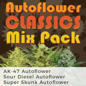Autoflower Classic Mix Pack Variety Marijuana seeds