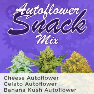 Autoflower Snack Mix Variety Marijuana Seeds Pack