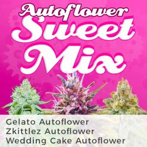 Autoflower Sweet Mix Variety Marijuana Seeds Pack