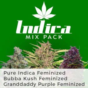 Indica Mix Pack Seed Variety Pack