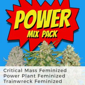 Power Mix Pack Seed Variety Pack