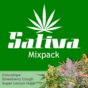 Sativa Mix Pack Seed Variety Pack