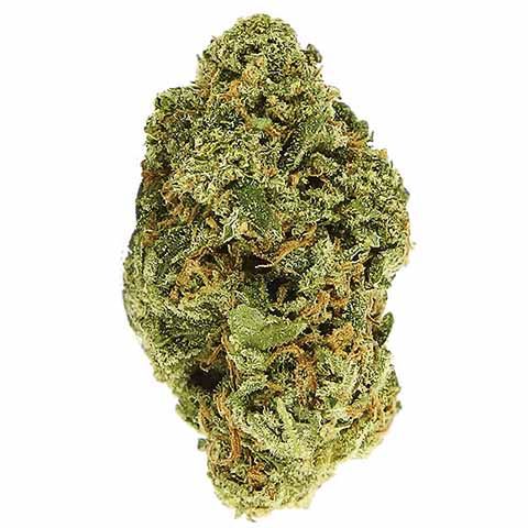 Blue Cheese Feminized Marijuana Bud