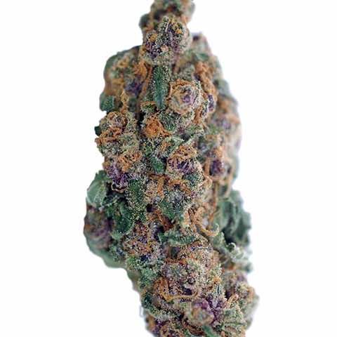 Blueberry Feminized Marijuana Bud