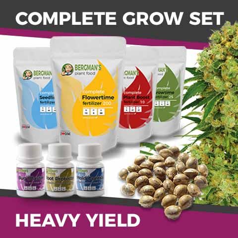 marijuana high yield grow kit big bud