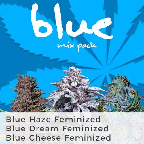 Blue Mix Pack Seed Variety Pack
