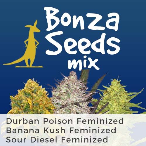 Bonza Seeds Mix Pack Seed Variety Pack