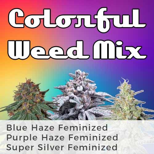 Colorful Weed Mix Pack - USA Shipping >> ILGM