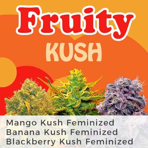 Fruity Kush Mix Pack Seed Variety Pack