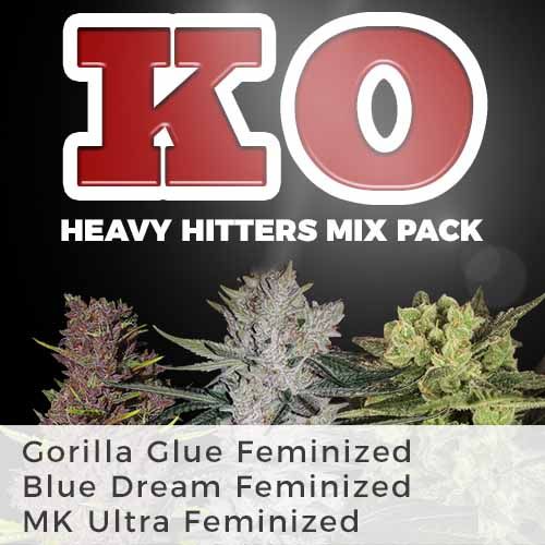 KO Heavy Hitters Mix Pack Seed Variety Pack