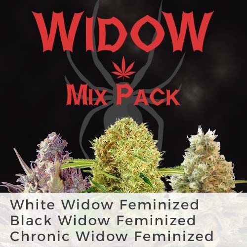 Widows Mix Pack Seed Variety Pack