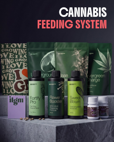 Cannabis Feeding System