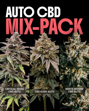 Autoflower CBD Mix