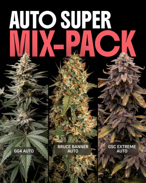 Autoflower Super Mix