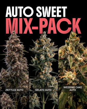 Autoflower Sweet Mix