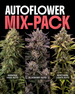 Autoflower Mix Pack