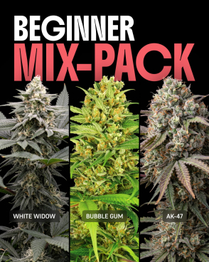 Beginner Mix