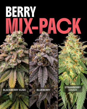 Berry Mix