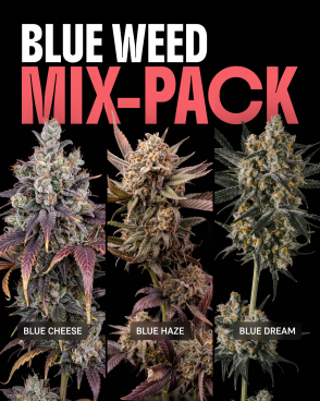 Blue Weed Mix