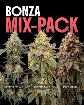 Bonza Seeds Mix