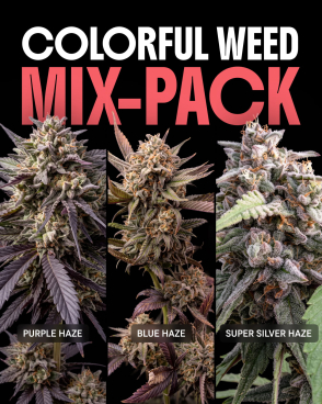 Colorful Weed Mix