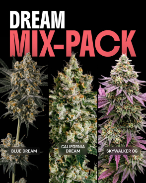 Dream Mix
