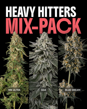 Heavy Hitters Mix