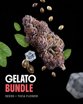 Gelato THCa Flower + Seeds Bundle
