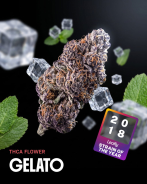 Gelato THCa Flower