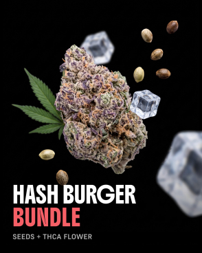Hash Burger THCa Flower + Seeds Bundle