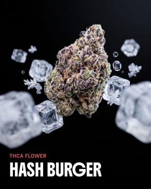 Hash Burger THCa Flower