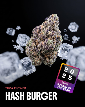 Hash Burger THCa Flower
