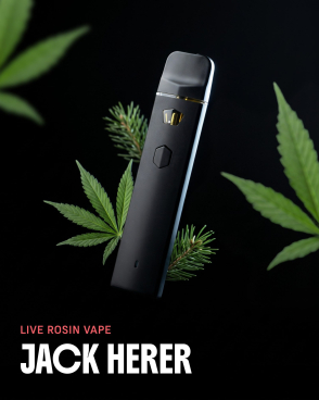 Jack Herer Live Rosin THCa Vape 1G