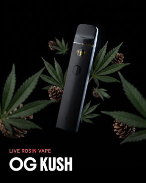 OG Kush Live Rosin THCa Vape 1G
