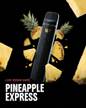 Pineapple Express Live Rosin THCa Vape 1G