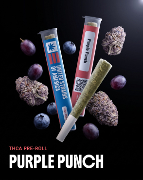 Purple Punch Pre-roll 1G