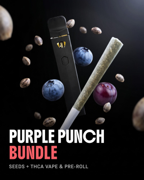 Purple Punch THCa + Seeds Bundle