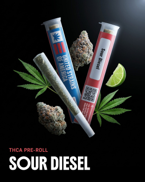 Sour Diesel Pre-roll 1G