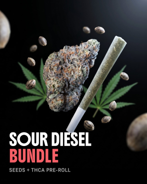 Sour Diesel THCa + Seeds Bundle