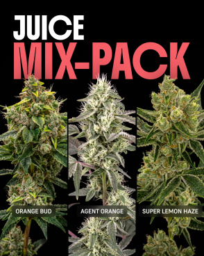 Juice Mix