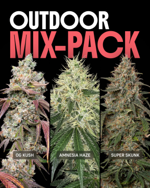 Outdoor Mix