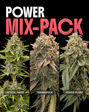 Power Mix
