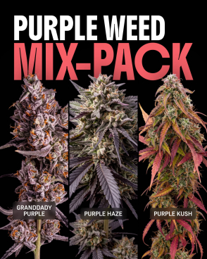 Purple Weed Mix