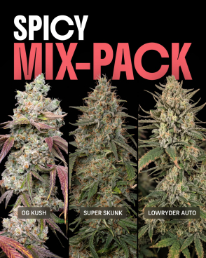 Spicy Mix